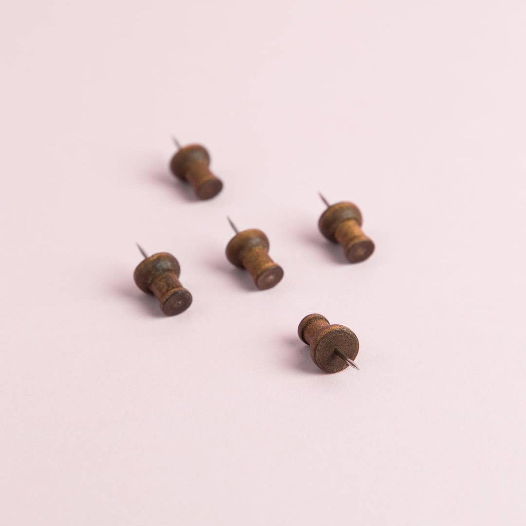 Walnut Push Pins - Flowers in Winter Shop