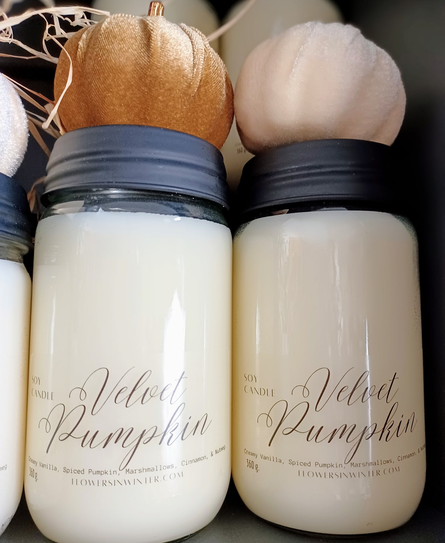 Velvet Pumpkin Candle - Flowers in Winter Shop