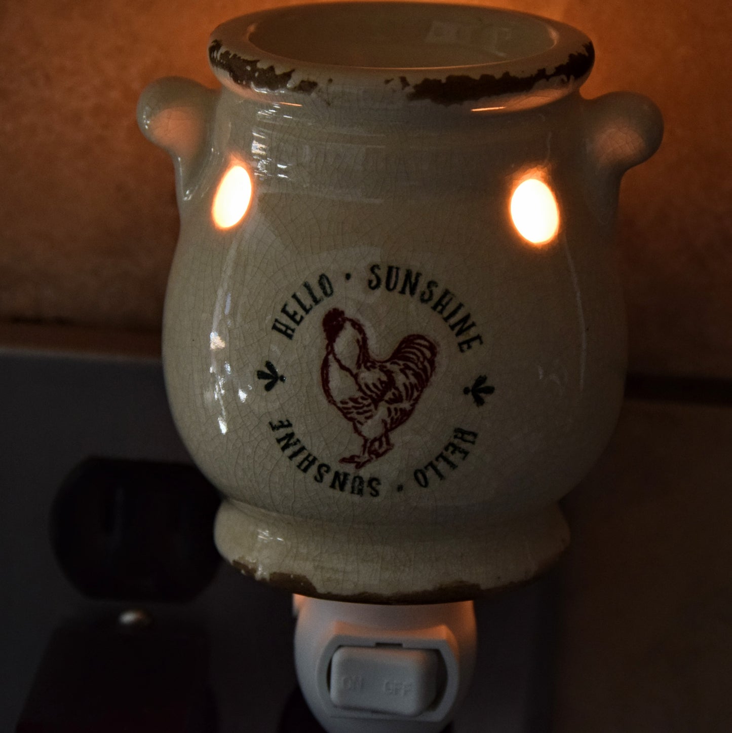 Hello Sunshine Outlet Wax Warmer - Flowers in Winter Shop