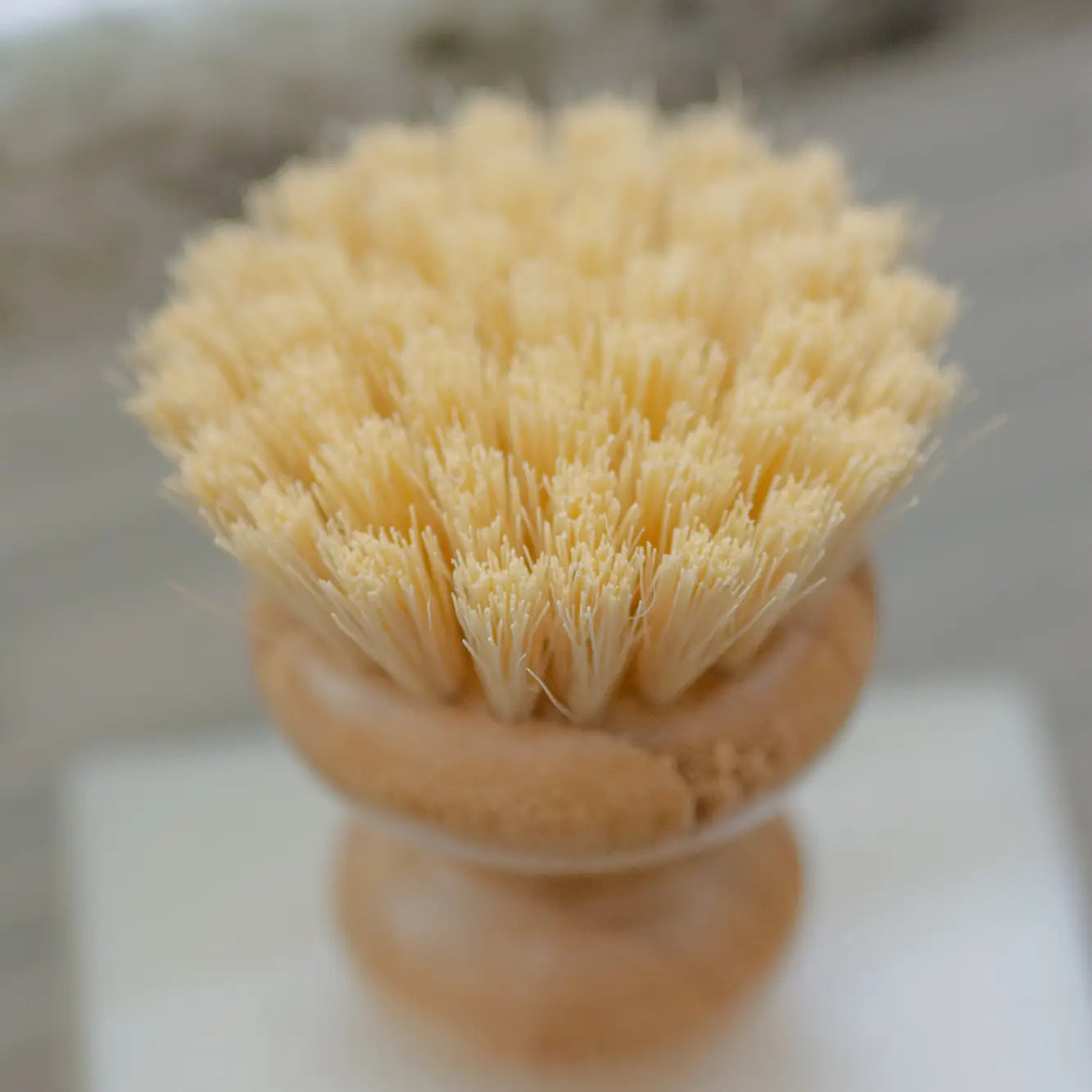 Dish Washing Brush - Flowers in Winter Shop