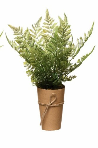 Faux Fern in Paper Wrapped Pot, 2 Styles - Flowers in Winter Shop