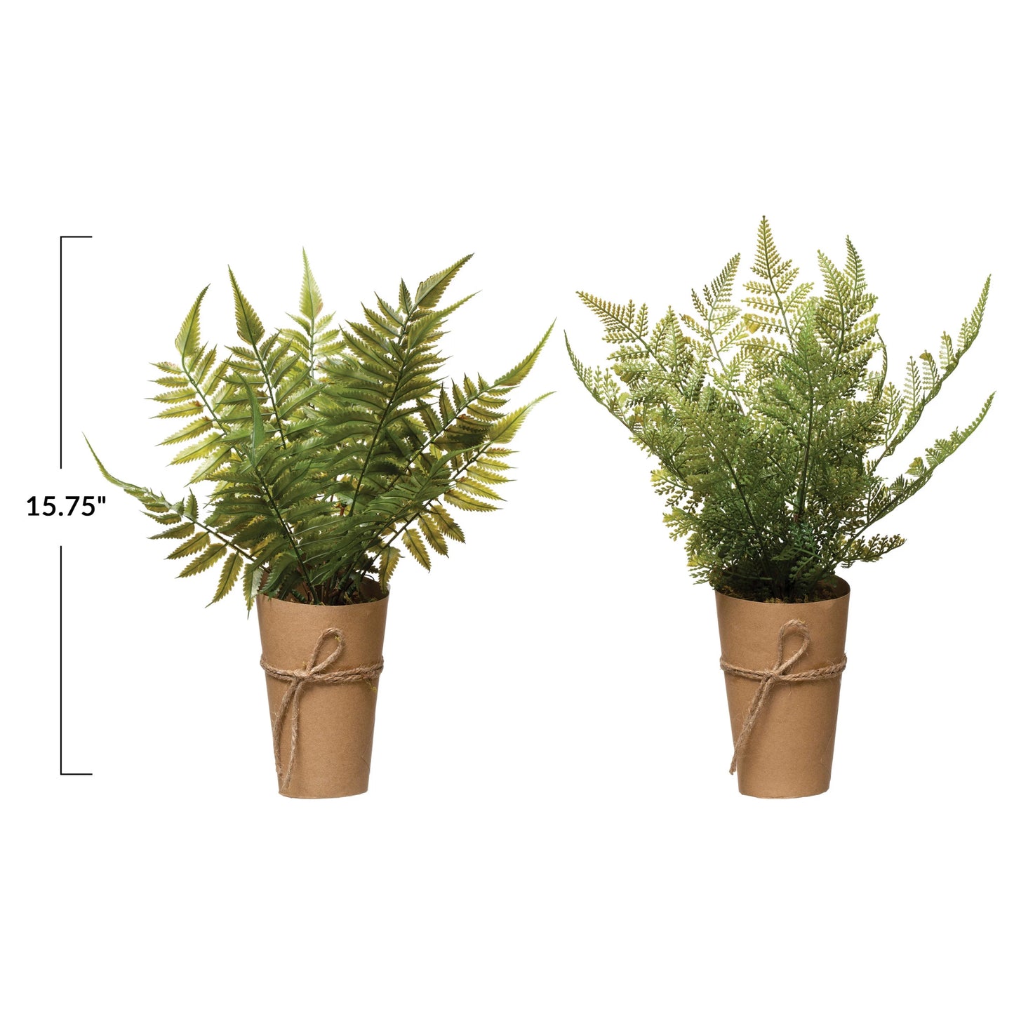 Faux Fern in Paper Wrapped Pot, 2 Styles - Flowers in Winter Shop