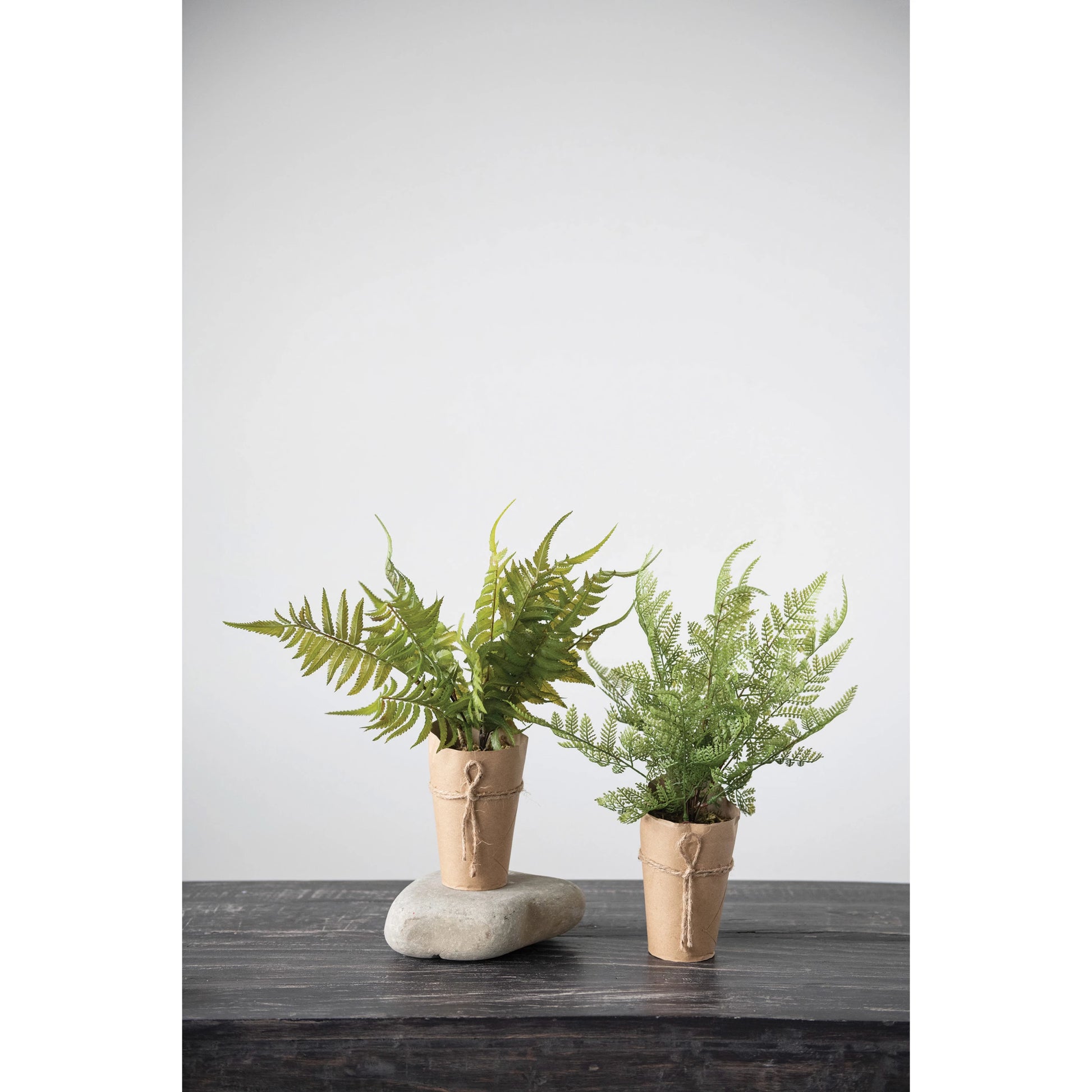 Faux Fern in Paper Wrapped Pot, 2 Styles - Flowers in Winter Shop